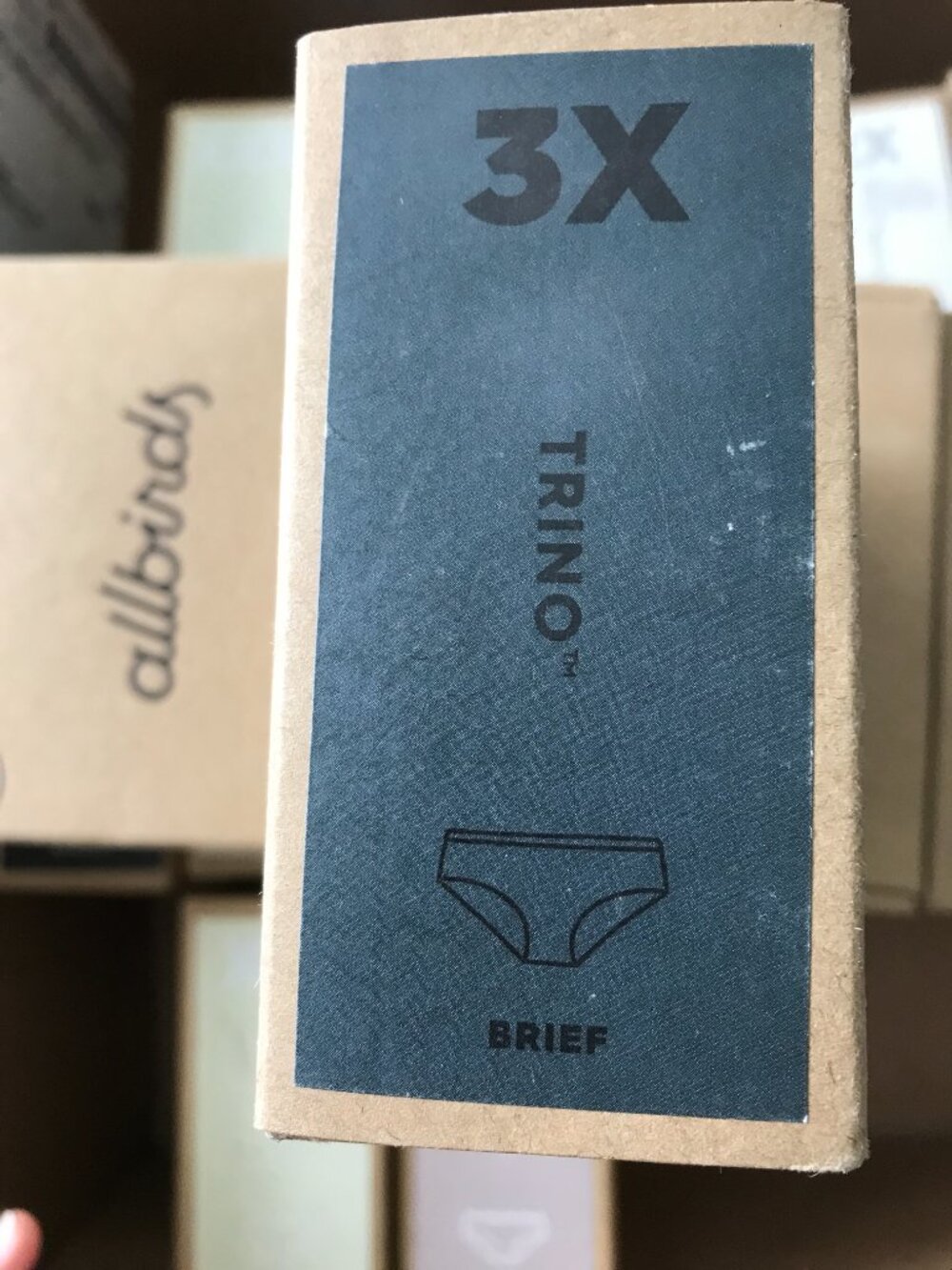 allbirds TRINO size 3X Brief Underwear in STORM Women's merino blend 0997